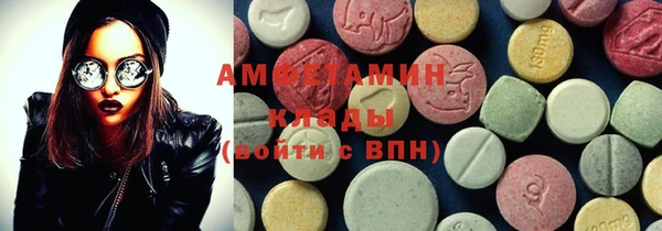 индика Бронницы