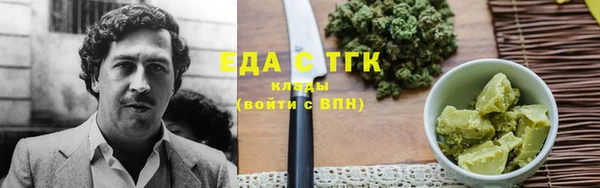 индика Бронницы