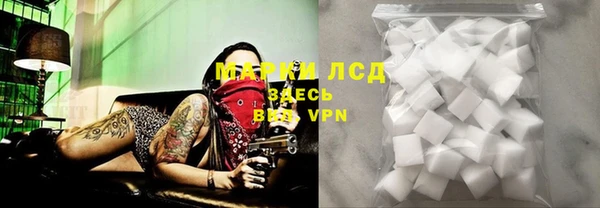 индика Бронницы