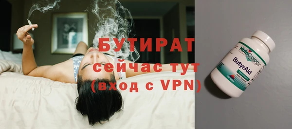 индика Бронницы