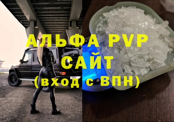 индика Бронницы