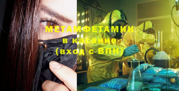 индика Бронницы