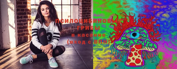амф Бугульма