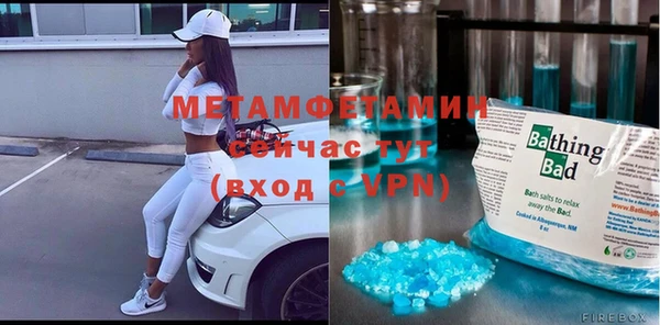индика Бронницы