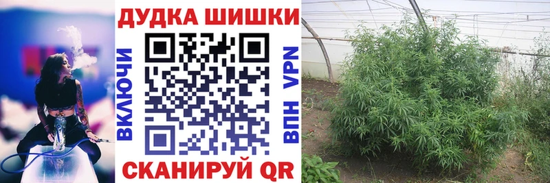 МАРИХУАНА сатива  Купить где  Лобня 